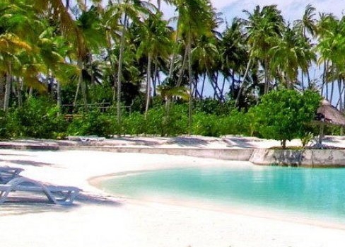 象上小学生口碑如何