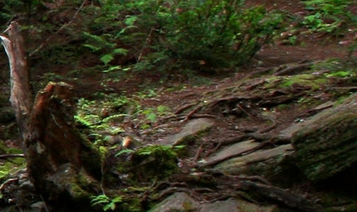 粉象生活怎么授权淘宝