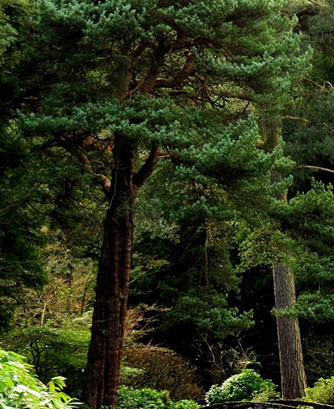 粉象生活宝妈如何挣钱