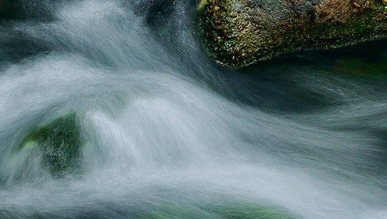 粉象生活新人专享红包在哪里