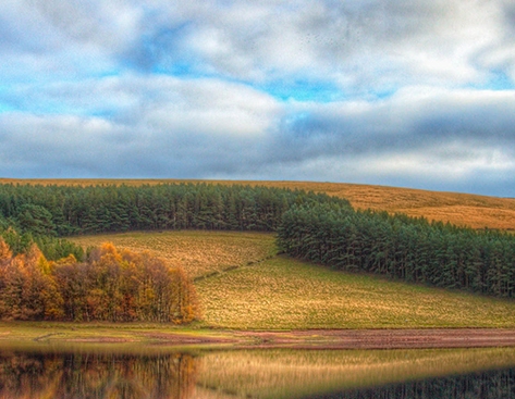2019粉象生活客服