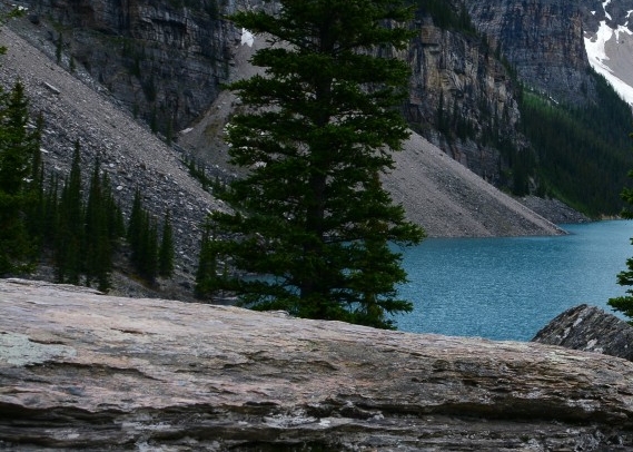 粉象生活怎么设置自动收款