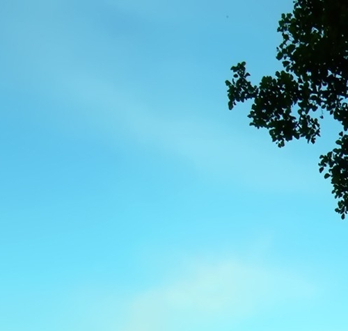 粉象电商是真是假