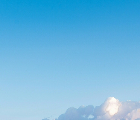 粉象生活是什么?