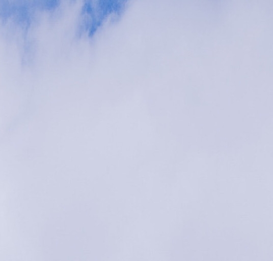 如何加入粉象生活推广