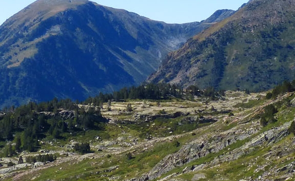 粉象生活系统开发