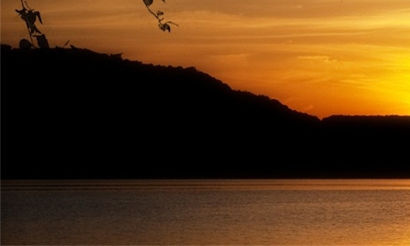 粉象生活怎么赚钱