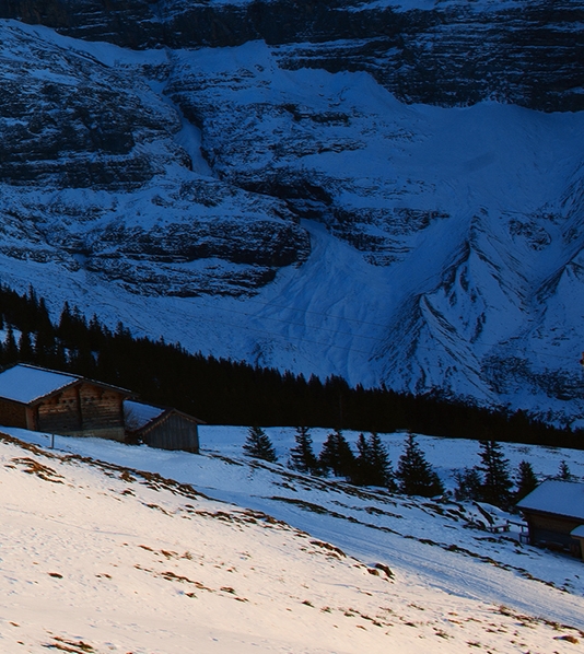 粉象生活是什么东西,真的靠谱吗