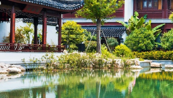 粉象生活粉丝怎么增加