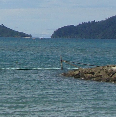 粉象生活能赚到钱吗