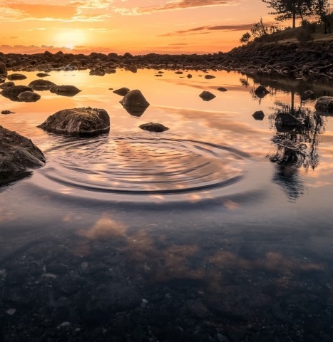 粉象生活商家号怎么注册