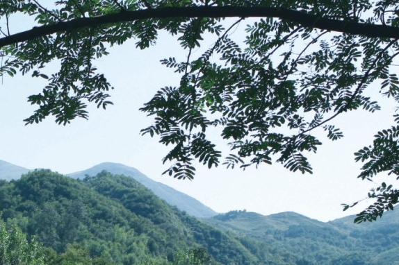 粉象生活宝妈如何挣钱