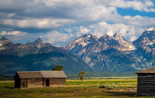 粉象生活优惠券如何使用