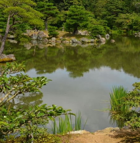 粉象生活同类型平台