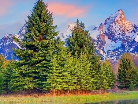 粉象生活有会员怎么赚钱