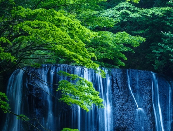 粉象生活团队靠谱吗