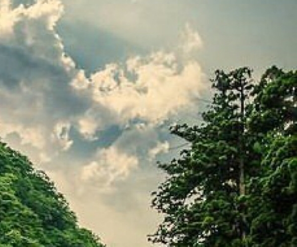 怎样申请粉象生活邀请码 已解决