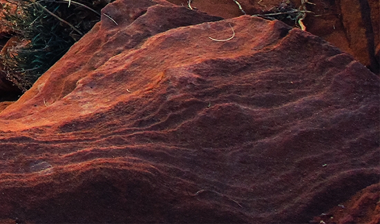 粉象生活平台注册