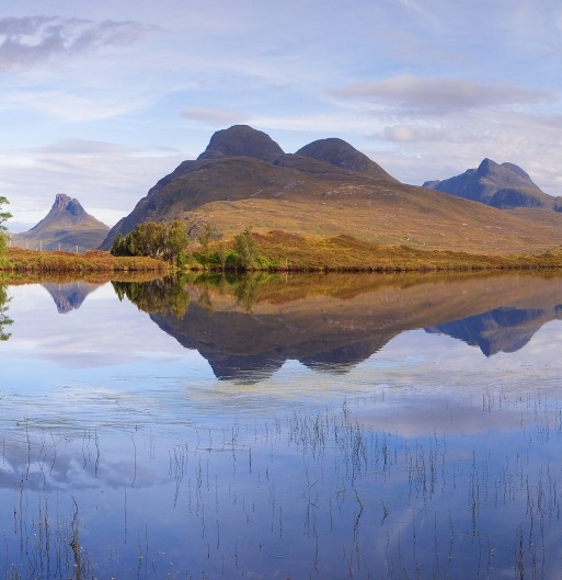 粉象生活有没有官网