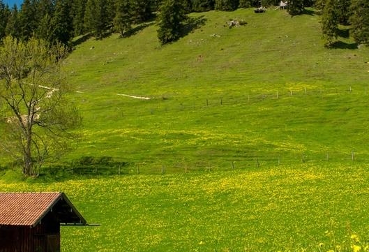 粉象生活团购可靠吗