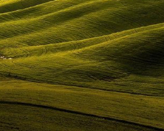 粉象生活注册用什么好