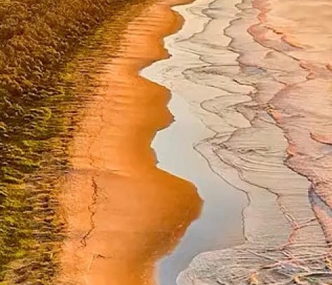 青岛粉象生活佣金