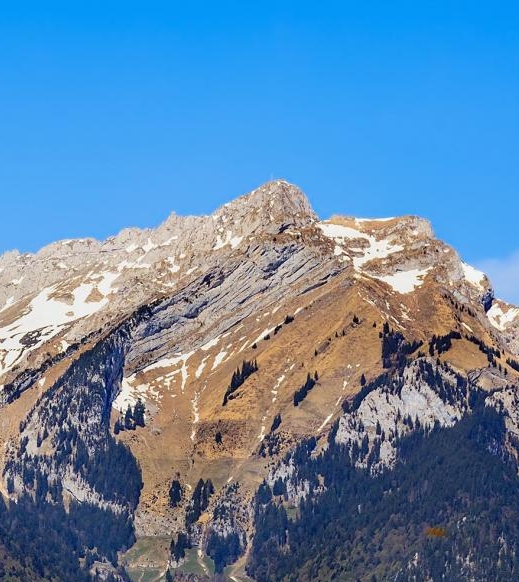 粉象优选佣金制什么