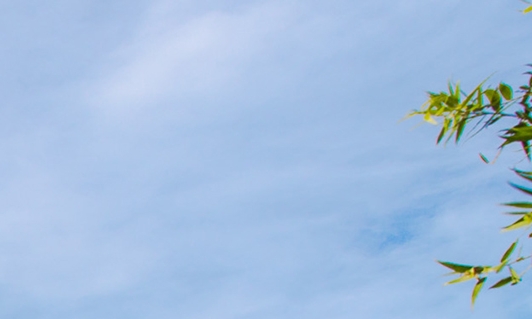 粉象生活可以赚钱吗