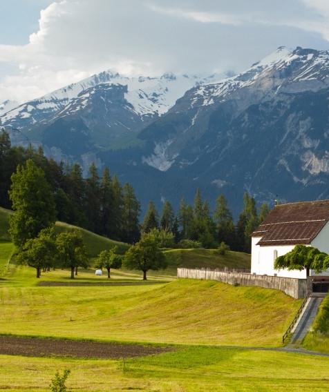 安徽粉象生活邀请人