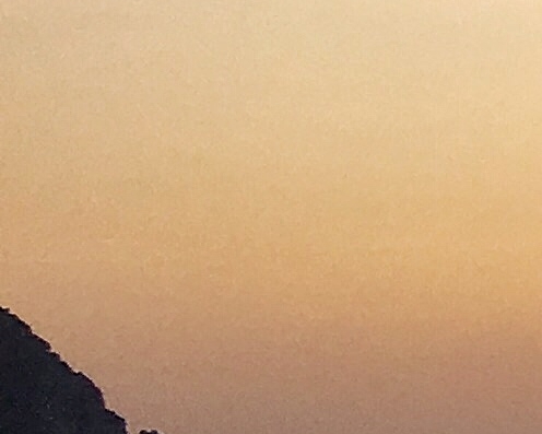 粉象生活用什么登录