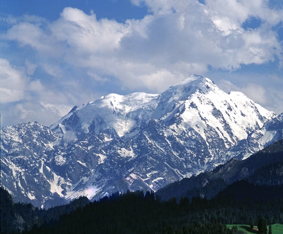 粉象生活第一个是怎么注册的