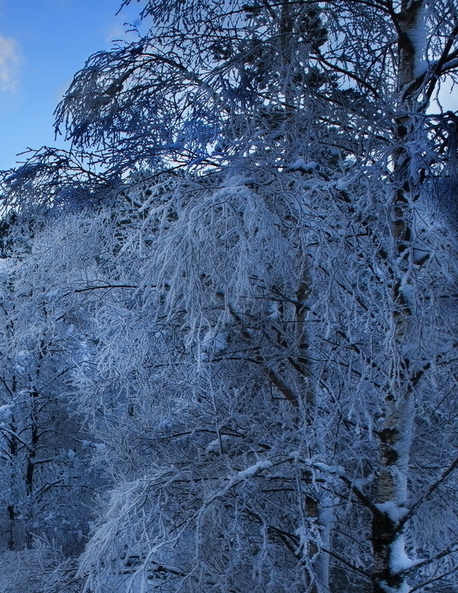 粉象生活粉丝怎么增加