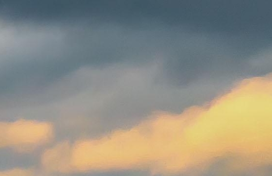 粉象生活的订单怎么查看