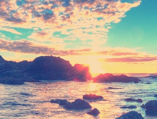 粉象生活邀请id