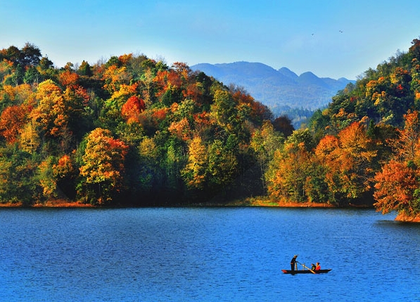 粉象生活邀请码