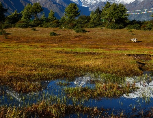 粉象生活赚钱教程