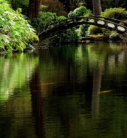 选择粉象生活市场前景