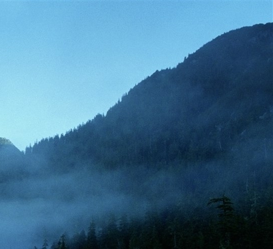 粉象生活购买失败