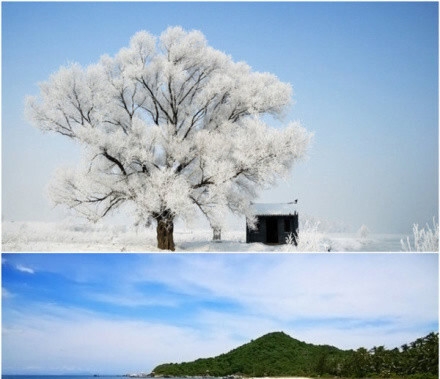 粉象生活早起打卡