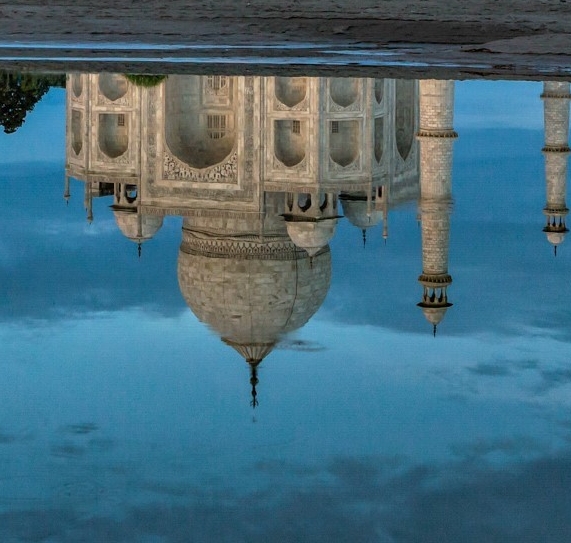 粉象生活如何注册