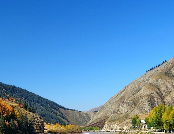 粉象生活下载app