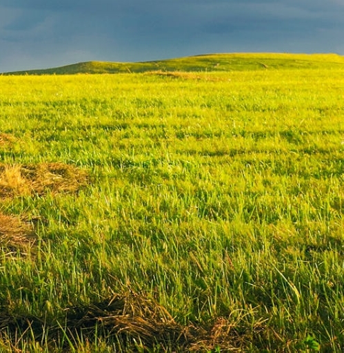 粉象生活怎么注销邀请码