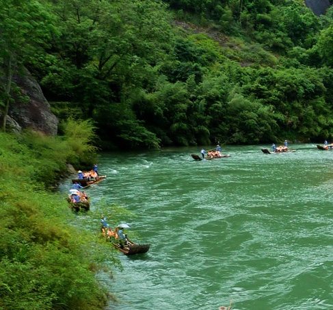 粉象生活到底是不是骗人的