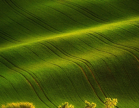 粉象生活怎么入住