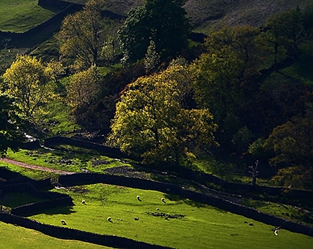 如何开通视频号小店