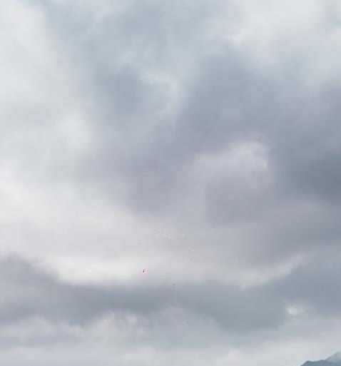 粉象生活app下载安装