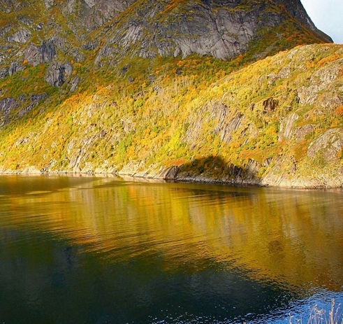 粉象生活能赚到钱吗