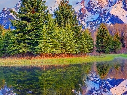 广东口碑好的粉象生活网站