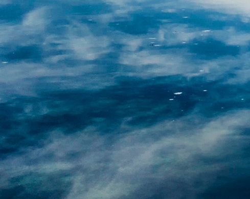 粉象生活密码是什么样的