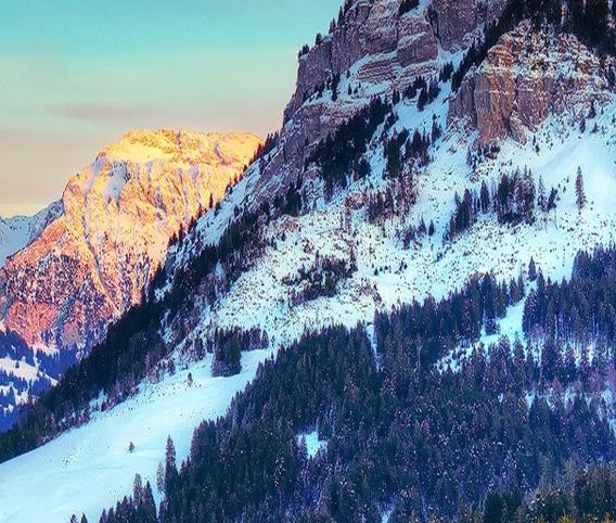 如何加入粉象生活推广